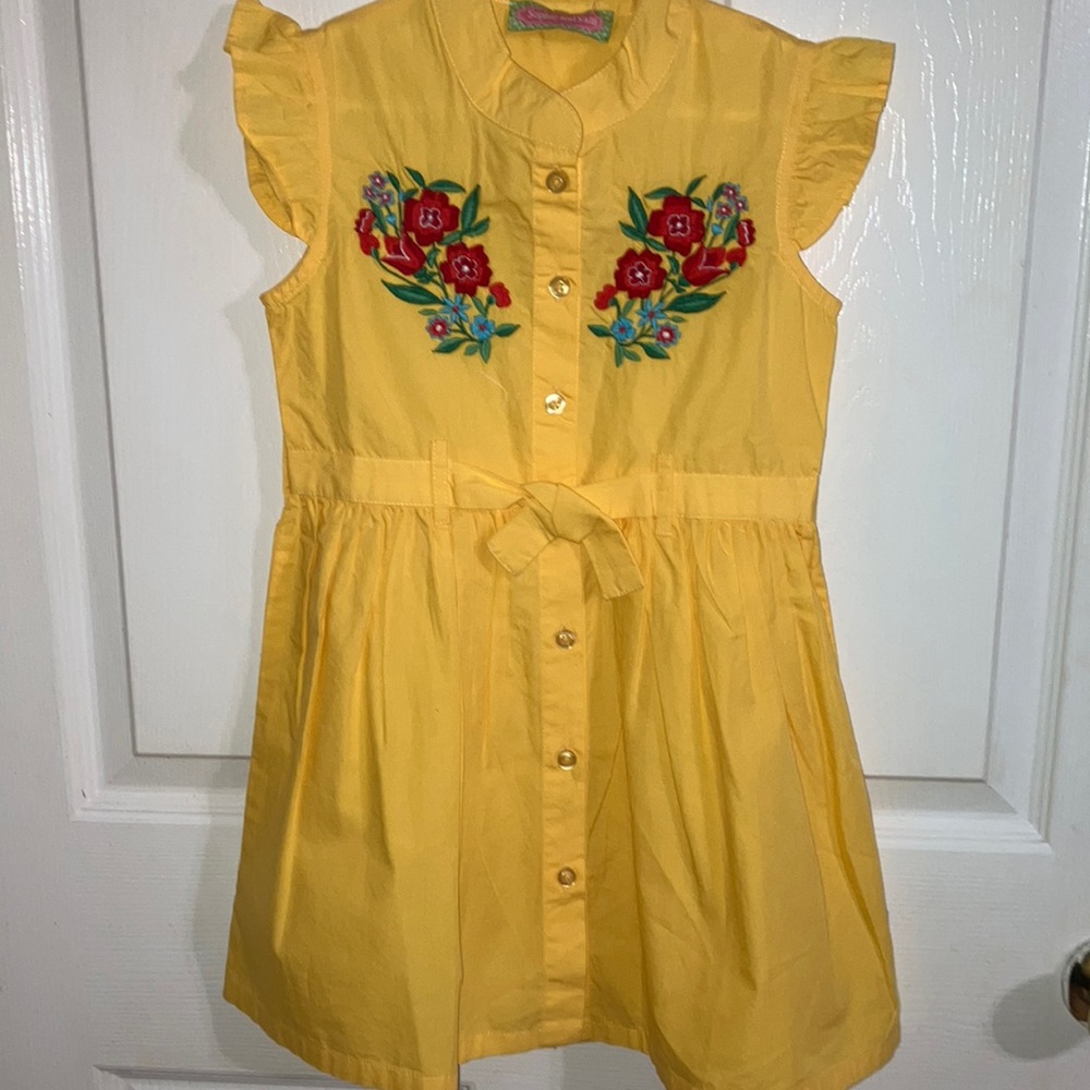 NWOT Sophie and Sam dress